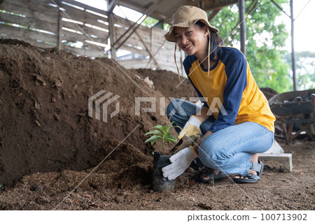 Smiling female farmer in hat planting plant seeds into polybags Smiling female farmer in hat planting plant seeds into polybags 100713902