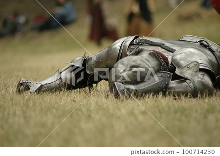 Knight defeated on the battlefield 100714230