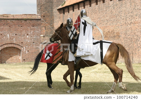 Knight on horse with weapon in hand. 100714240