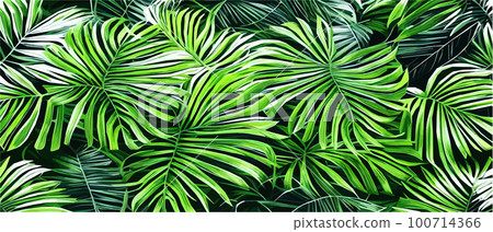 Vector illustration horizontal tropical leaves banners. Exotic botanical design cosmetics,  100714366