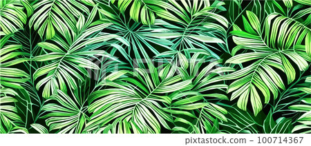 Vector illustration horizontal tropical leaves banners. Exotic botanical design cosmetics, Vector illustration horizontal tropical leaves banners. Exotic botanical design cosmetics, 100714367
