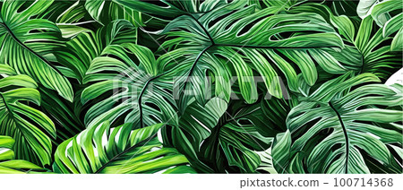 Vector illustration horizontal tropical leaves banners. Exotic botanical design cosmetics,  100714368
