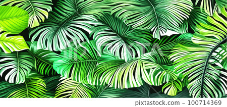 Vector illustration horizontal tropical leaves banners. Exotic botanical design cosmetics,  100714369
