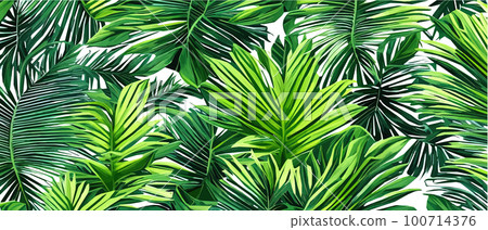 Vector illustration horizontal tropical leaves banners. Exotic botanical design cosmetics, Vector illustration horizontal tropical leaves banners. Exotic botanical design cosmetics, 100714376