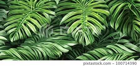 Vector illustration horizontal tropical leaves banners. Exotic botanical design cosmetics,  100714390