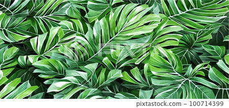 Vector illustration horizontal tropical leaves banners. Exotic botanical design cosmetics, Vector illustration horizontal tropical leaves banners. Exotic botanical design cosmetics, 100714399