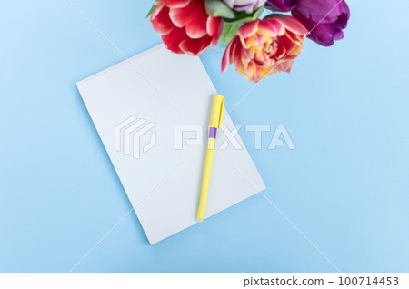 Top view of a blue table. The pen lies on a blank sheet of notebook. Tulips on the table 100714453