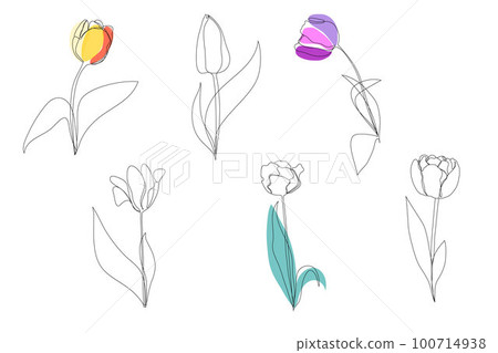Set beautiful blossoming tulip flower in continuous line art drawing style. Minimalist black linear sketch isolated on white background. Vector illustration. Set beautiful blossoming tulip flower in continuous line art drawing style. Minimalist black linear sketch isolated on white background. Vector illustration. 100714938