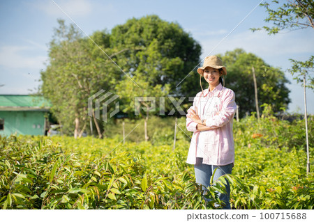 Smart female farmer with hands crossed standing in the nursery 100715688
