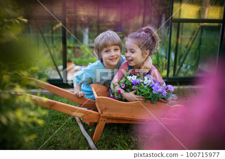 Portrait of little children with wooden wheelbarrow full of flowers. Portrait of little children with wooden wheelbarrow full of flowers. 100715977