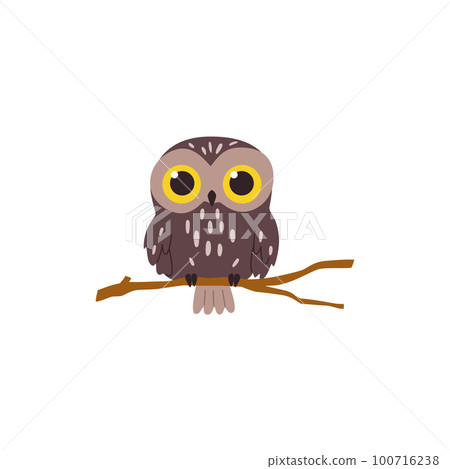Night owl brown-coloured bird on branch, flat vector illustration isolated. 100716238