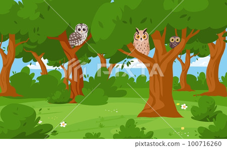 Summer forest with owls sitting on tree branches, cartoon vector illustration. 100716260