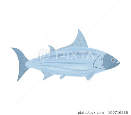 Tuna large fish cartoon icon or sign flat vector illustration isolated on white. 100716286