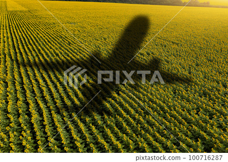 Shadow of the plane on the agricultural field.  100716287
