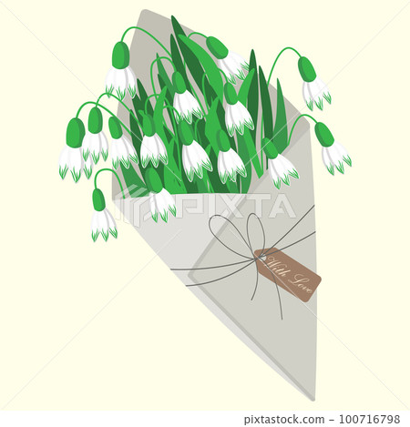 Paper envelope with snowdrop flowers on a white background. Floral background, card, spring illustration, vector Paper envelope with snowdrop flowers on a white background. Floral background, card, spring illustration, vector 100716798