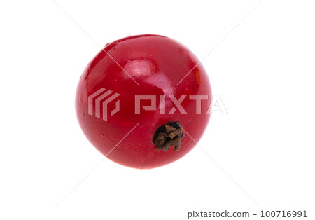 currant isolated currant isolated 100716991