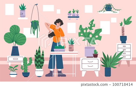 Girl cares of houseplants. Home gardening. Young person watering green shoots in greenhouse. Cacti and ficus in pots. Apartment interior. Palm trees growing in flowerpots. Vector concept Girl cares of houseplants. Home gardening. Young person watering green shoots in greenhouse. Cacti and ficus in pots. Apartment interior. Palm trees growing in flowerpots. Vector concept 100718414