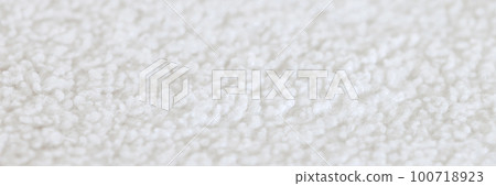The texture of a white, soft, cozy carpet. The texture of a white, soft, cozy carpet. 100718923