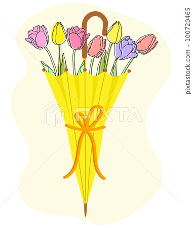 Bouquet of tulip flowers in a yellow umbrella. Spring illustration, postcard, vector Bouquet of tulip flowers in a yellow umbrella. Spring illustration, postcard, vector 100720465