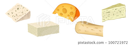 Different Cheese as Dairy Product Made from Milk Vector Set 100721972