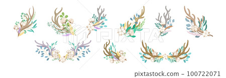 Deer Antlers Arranged with Tender Cotton Flowers and Green Twigs Vector Set Deer Antlers Arranged with Tender Cotton Flowers and Green Twigs Vector Set 100722071