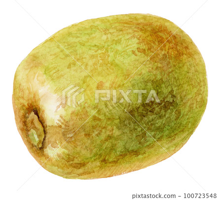 水彩綠色 kiwi_1 水果 水彩綠色 kiwi_1 水果 100723548