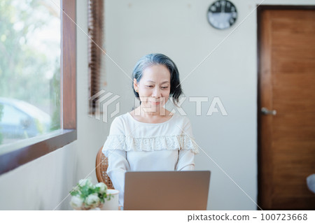 Portrait of an elderly Asian woman in a modern pose working on a computer 100723668