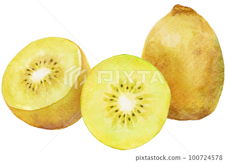 Watercolor gold kiwi and cut gold kiwi_side by side Watercolor gold kiwi and cut gold kiwi_side by side 100724578