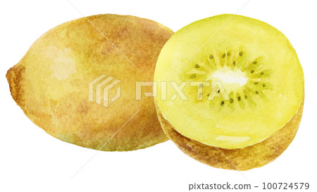 Watercolor gold kiwi and sliced gold kiwi 2 Watercolor gold kiwi and sliced gold kiwi 2 100724579