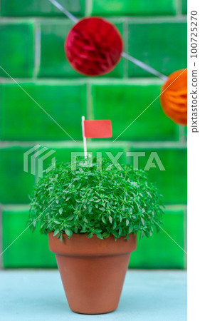 Manjerico plant with flag against green tile Manjerico plant with flag against green tile 100725270