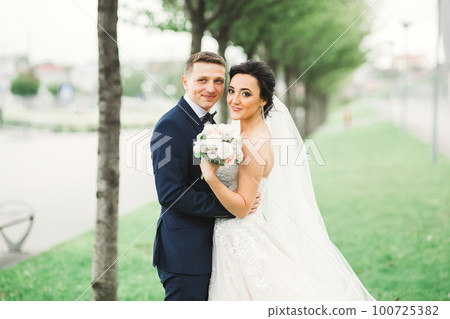 Wedding couple on the nature is hugging each other. Beautiful model girl in white dress. Man in suit 100725382