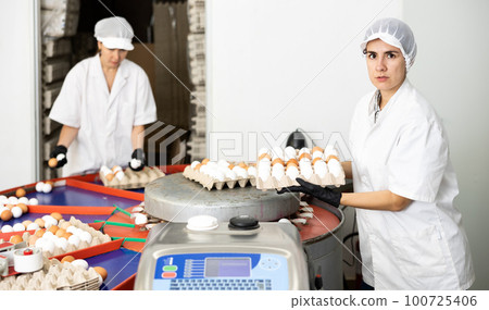 group of people in lab coats and hairnets doing egg quality control in chicken farm 100725406