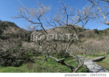 金沼寺拜林 金沼寺拜林 100725532