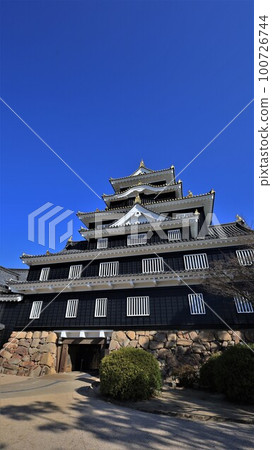 岡山城樓(岡山縣岡山市) 岡山城樓(岡山縣岡山市) 100726744
