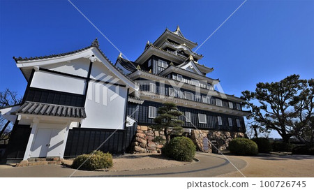 岡山城樓(岡山縣岡山市) 岡山城樓(岡山縣岡山市) 100726745