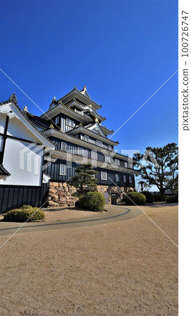 岡山城樓(岡山縣岡山市) 岡山城樓(岡山縣岡山市) 100726747
