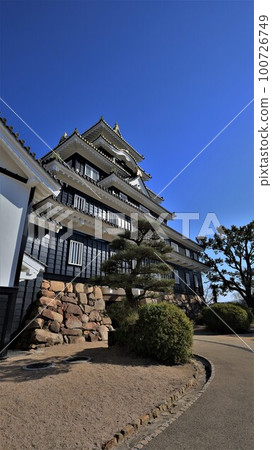 岡山城樓(岡山縣岡山市) 岡山城樓(岡山縣岡山市) 100726749