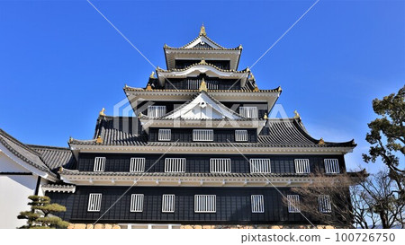 岡山城樓(岡山縣岡山市) 岡山城樓(岡山縣岡山市) 100726750