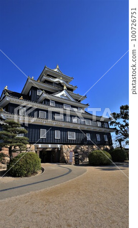 岡山城樓(岡山縣岡山市) 岡山城樓(岡山縣岡山市) 100726751