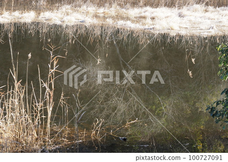 Winter morning pond scenery Winter morning pond scenery 100727091