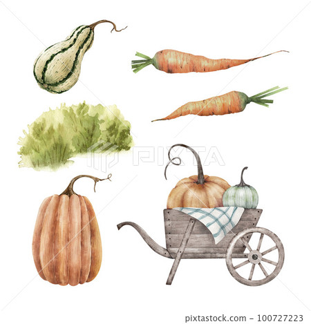 A set of watercolor illustrations harvest vegetables pumpkins in a wheelbarrow and carrots. 100727223