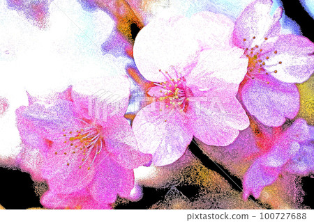 Morning with cherry blossoms and spring sunshine Morning with cherry blossoms and spring sunshine 100727688