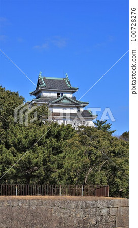 Wakayama Castle Tower (Wakayama City, Wakayama Prefecture) 100728276