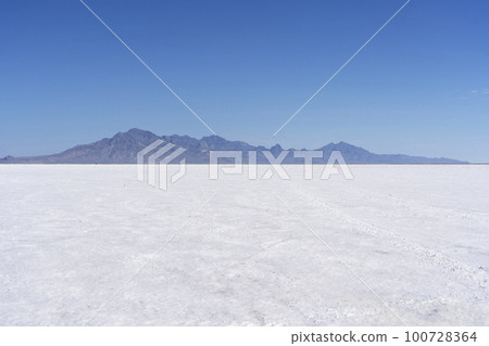 美國猶他州邦納維爾鹽沼 100728364