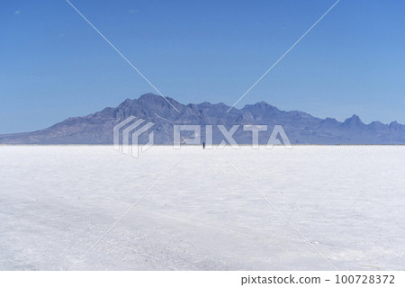 Bonneville Salt Flats, Utah, USA 100728372
