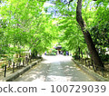 Discover Uji! A beautiful green road 100729039