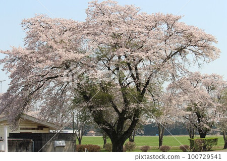 Goryo ranch Goryo ranch 100729541