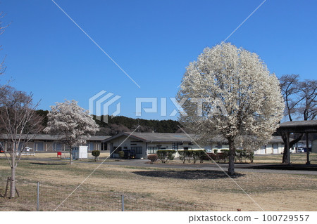 五棱牧場 五棱牧場 100729557