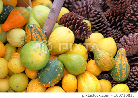 Pumpkin seeds Pumpkin seeds 100730833