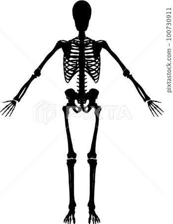 全身骨架後視男性剪影 100730911